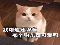 温州市捷拱商贸有限公司