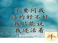 温州市捷拱商贸有限公司