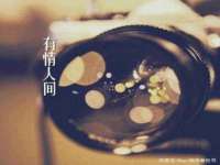 温州市捷拱商贸有限公司