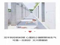 温州市捷拱商贸有限公司