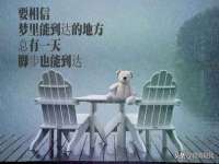 温州市捷拱商贸有限公司