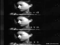 温州市捷拱商贸有限公司