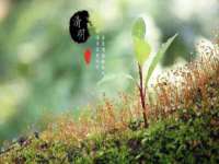 温州市捷拱商贸有限公司