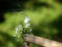 温州市捷拱商贸有限公司