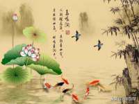 温州市捷拱商贸有限公司