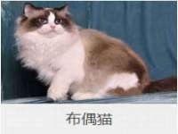 温州市捷拱商贸有限公司