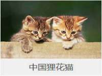 温州市捷拱商贸有限公司
