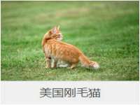 温州市捷拱商贸有限公司