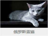 温州市捷拱商贸有限公司