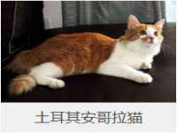 温州市捷拱商贸有限公司