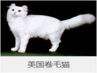 温州市捷拱商贸有限公司