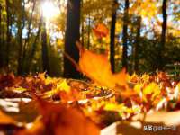 温州市捷拱商贸有限公司