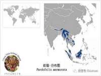 温州市捷拱商贸有限公司