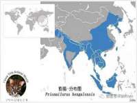 温州市捷拱商贸有限公司