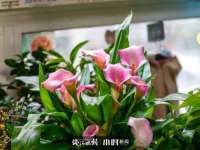 温州市捷拱商贸有限公司