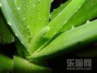 温州市捷拱商贸有限公司