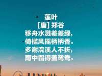 温州市捷拱商贸有限公司