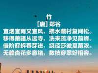 温州市捷拱商贸有限公司