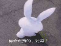 温州市捷拱商贸有限公司