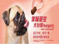 温州市捷拱商贸有限公司