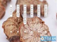 温州市捷拱商贸有限公司