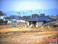 温州市捷拱商贸有限公司