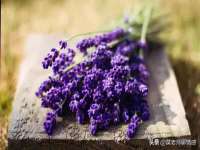温州市捷拱商贸有限公司