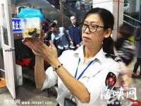 温州市捷拱商贸有限公司