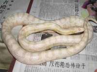 温州市捷拱商贸有限公司