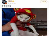温州市捷拱商贸有限公司