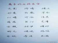 温州市捷拱商贸有限公司